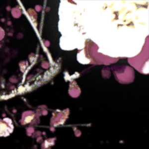 我是妈妈写的诗