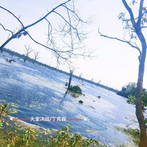 天堂决战（纯音乐）