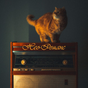 Тупая любовь