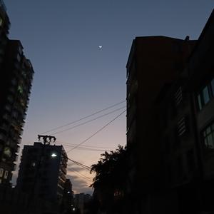 小柴