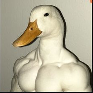 qeheke