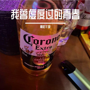我曾负过年少