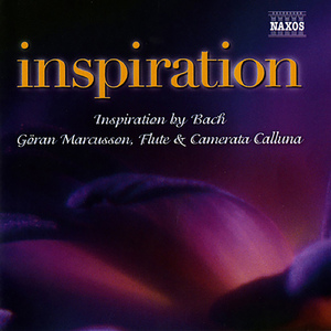 Brandenburg Concerto No. 4 in G Major, BWV 1049:III. Presto