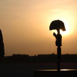 Our Fight