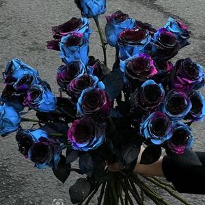 忽然之间（翻自 王北车）