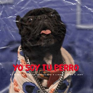 Yo Soy Tu Perro