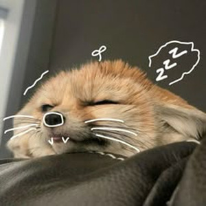 Favorite Song (slowed)