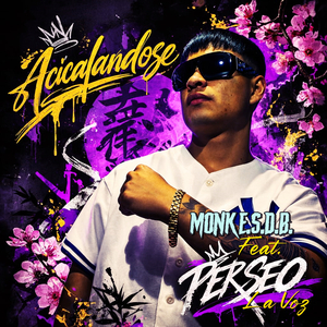 Acicalandose
