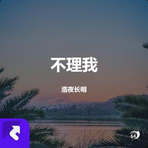 不理我 (Demo)