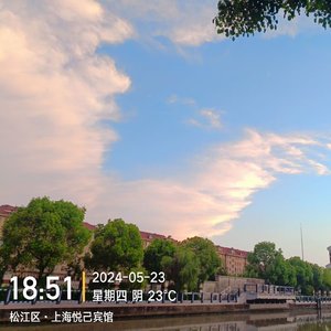周浦花海
