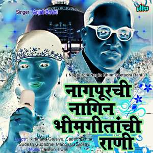 Punha Hava Jay Bhimcha Danka