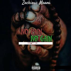No Pain No Gain