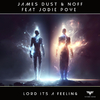 James Dust - Lord Its a Feeling (Radio Edit)