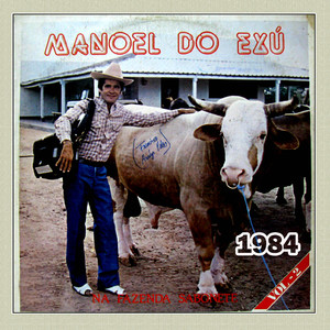 Cavalo guerreiro - MANOEL DO EXÚ