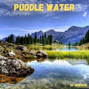 Puddle Water
