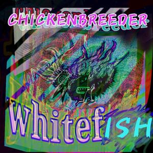 Whitefish