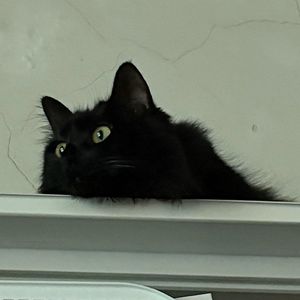 刻在我心底的名字