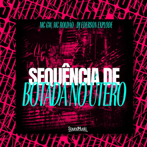 SEQUÊNCIA DE BOTADA NO UTERO