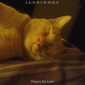 Lentes Rotos