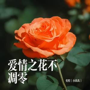 爱情之花不凋零