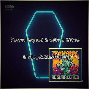 Terror Squad & Like a ***** (Ada_& Mashup)