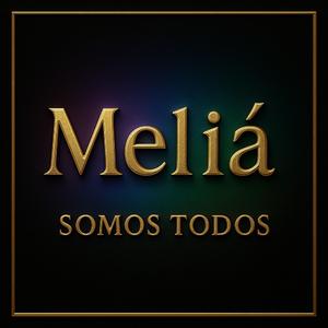 Puedo presentir lo que no dices?