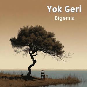 Yok Geri