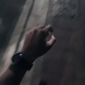 姑娘（翻自 隔壁老樊）