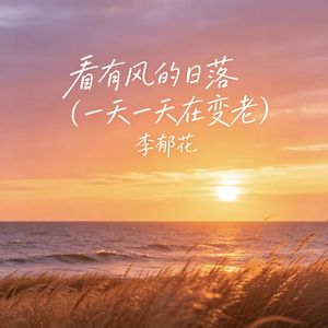 看有风的日落（一天一天在变老）