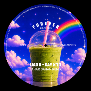 הוא GAY (SAHAR DAHAN REMIX)