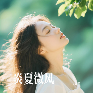 炎夏微风