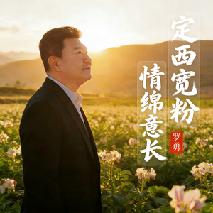 定西宽粉 情绵意长