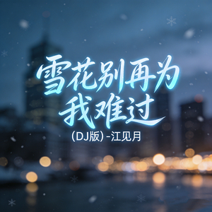 雪花别再为我难过(DJ版)