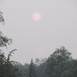 The return of the lover