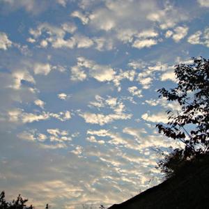 Sakee云雾-把你抱住（J.D Prajna remix）