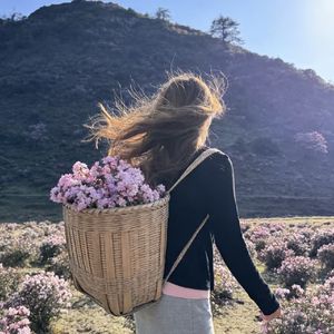 “背篓里的春天” 网感 × Lazy × 中国风 Type Beat