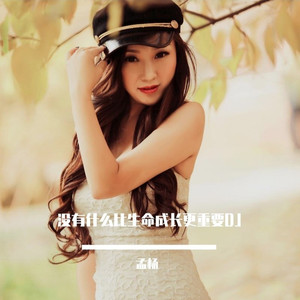 没有什么比生命成长更重要 (DJ版)