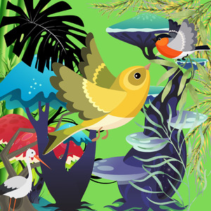 Kicau Burung Ciblek Gunung