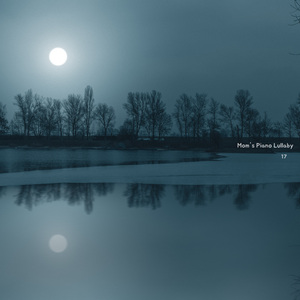 별이 내려앉은 밤