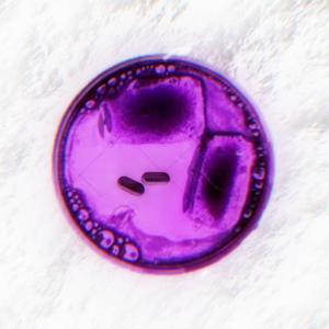 2 perc (feat. Fat Bradd, LEAN! & Cocachorra)