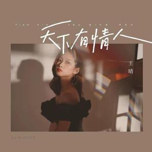 天下有情人 (王晴版)