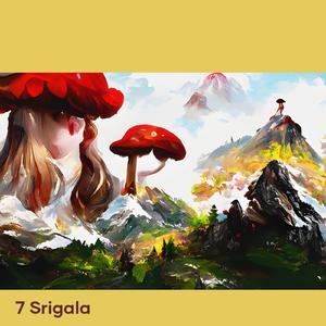 Tikus takut pada kucing