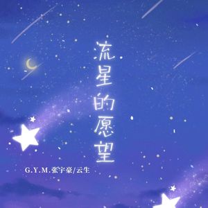 流星的愿望