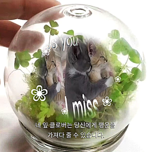 凭什么都要伤害我 我只是想要被爱而已