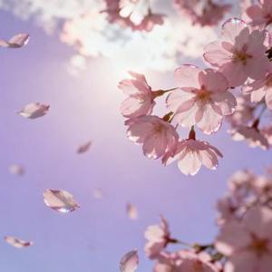 其实我会痛 (Remix)