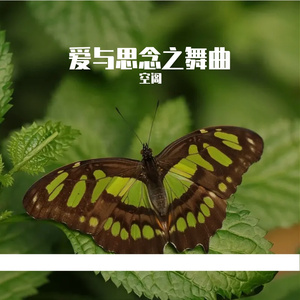 爱与思念之舞曲