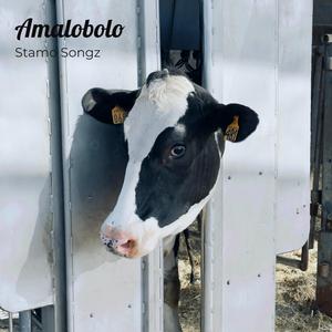Amalobolo