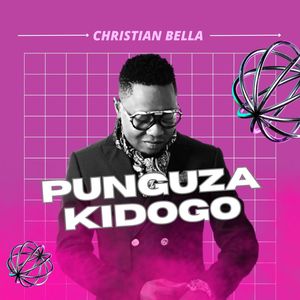 Punguza Kidogo