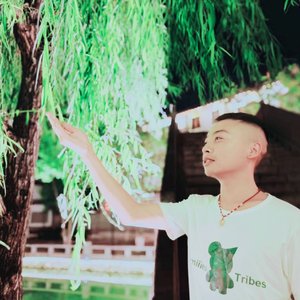 绝情谷底神雕侣