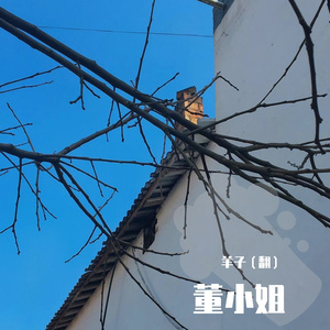 董小姐（翻自 宋冬野）